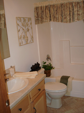 Patriot Home Sales - Model: HF114-A Sample Home Pennwest Davenport II Bathroom #2 Photo